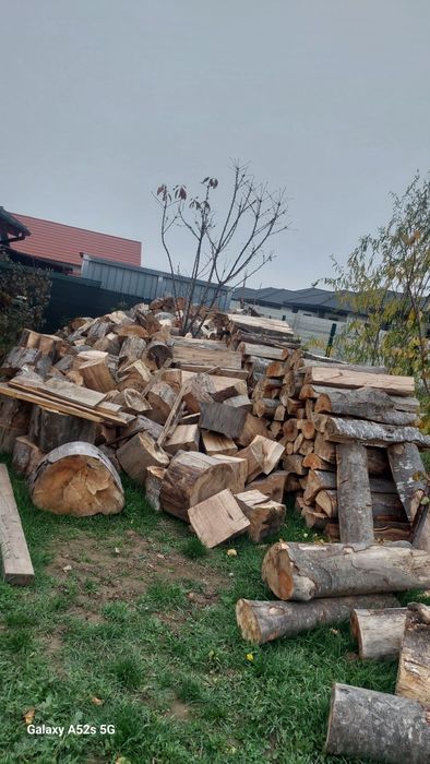 Lemne de fag uscate taiate