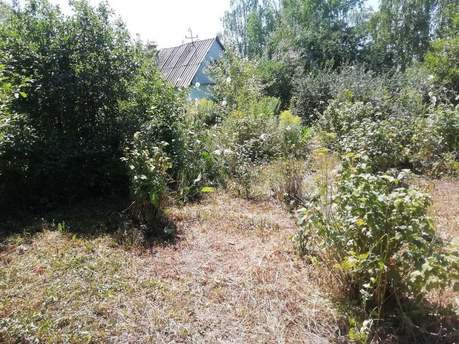 Продам дачу 11 соток в Согре