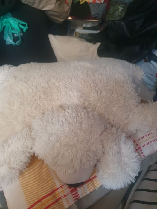 Pernita de plus catelus