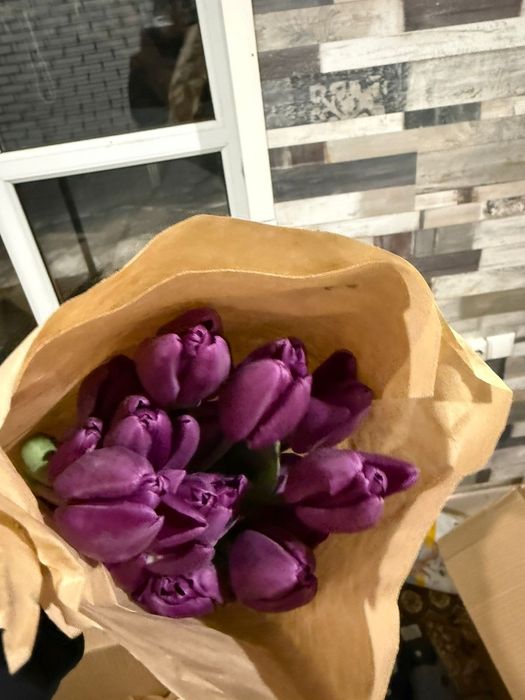 Продам тюльпаны 700 штук в наличии