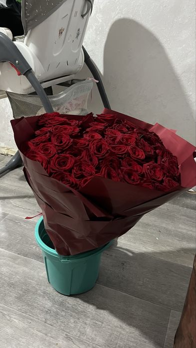продам цветы сегоднящние