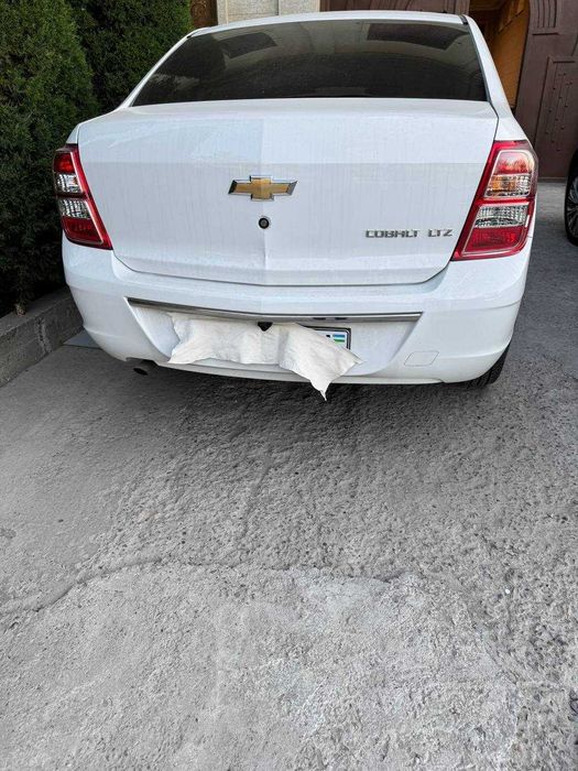 СРОЧНО!!! Коболт МСМ 2026