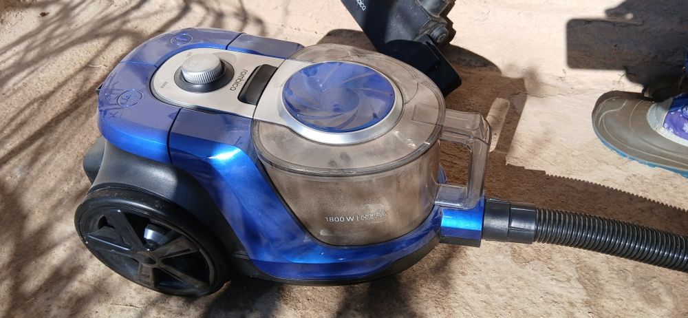 Пелесос  ромбиса