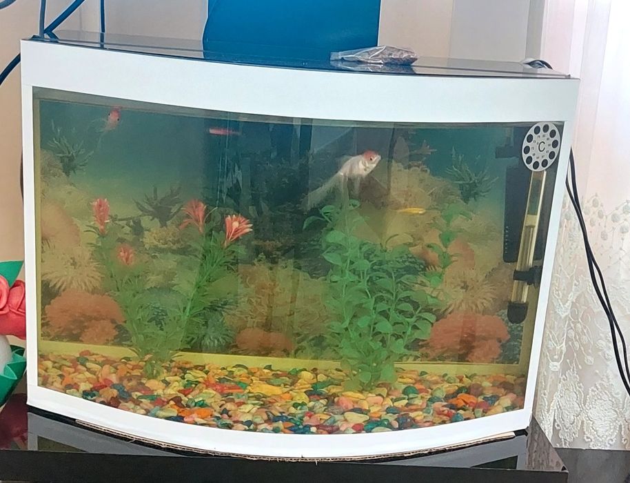 Аквариум 50 литр