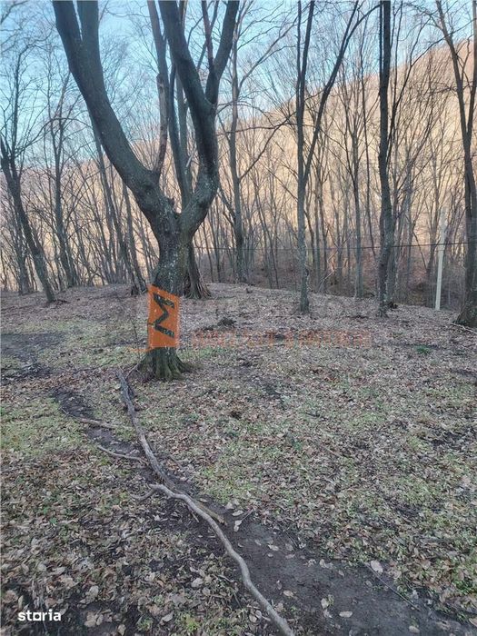 Teren intravilan zona Monteoru