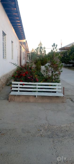 Mardikorlik xizmati