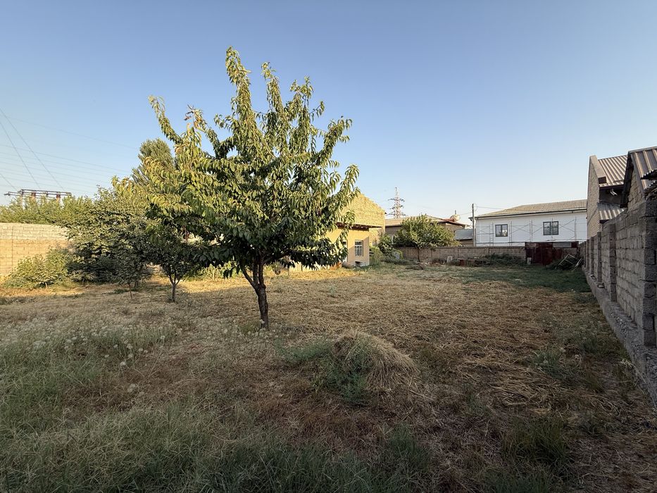 Tashgres da 6-sotix yer sotiladi srochna