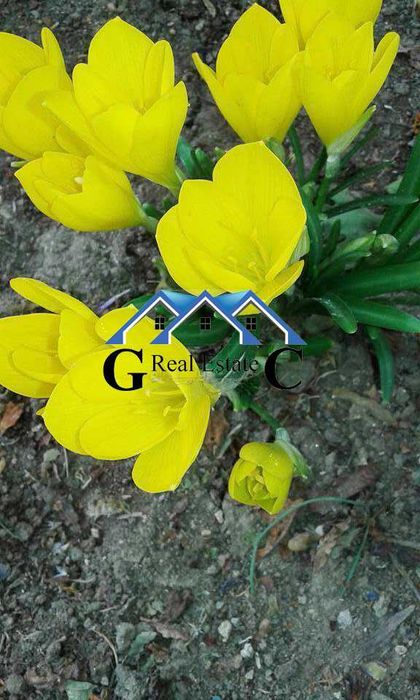 Продава се Къща в Варна, м-т Планова - 131 кв.м за 1222 €/кв.м - Снимка #4