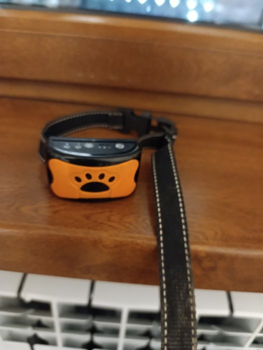 Найдена собака, Спаниель