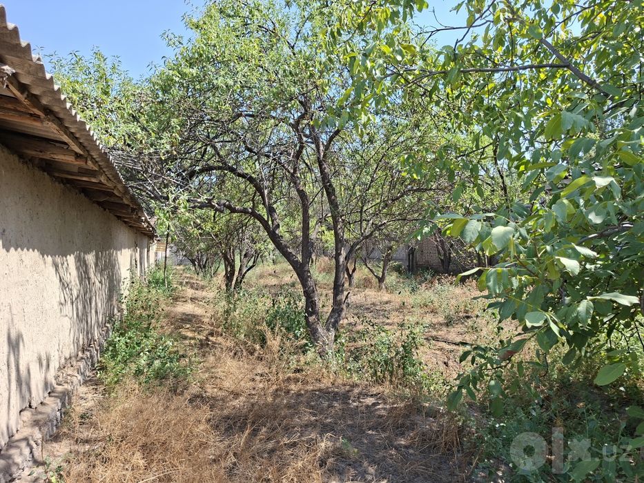 Andijon / Hovli sotiladi