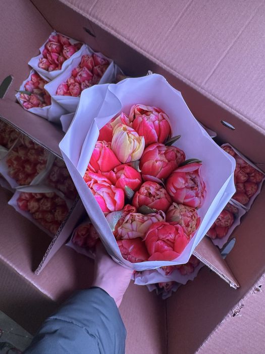 Пионовидные тюльпаны белорусские