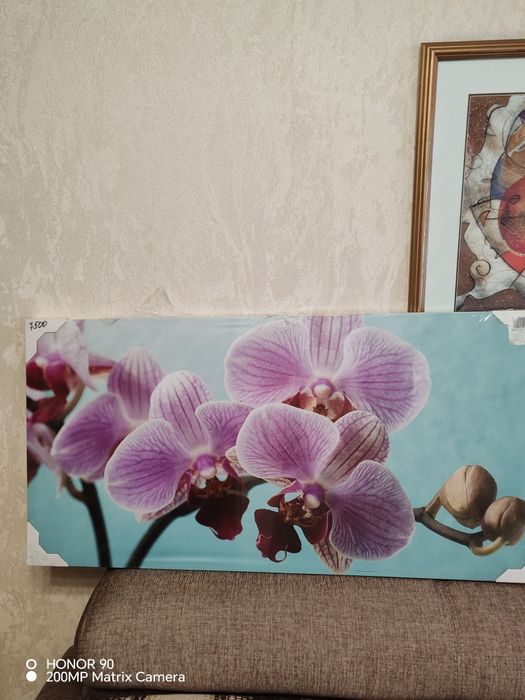Картина Орхидея новая