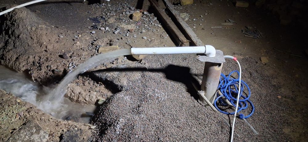 Сув чикорамиз нархи жойига караб