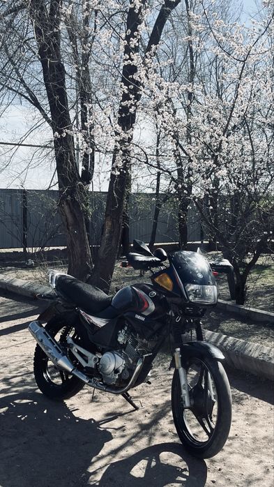 yamaha ybr 125 б/у мотоцикл