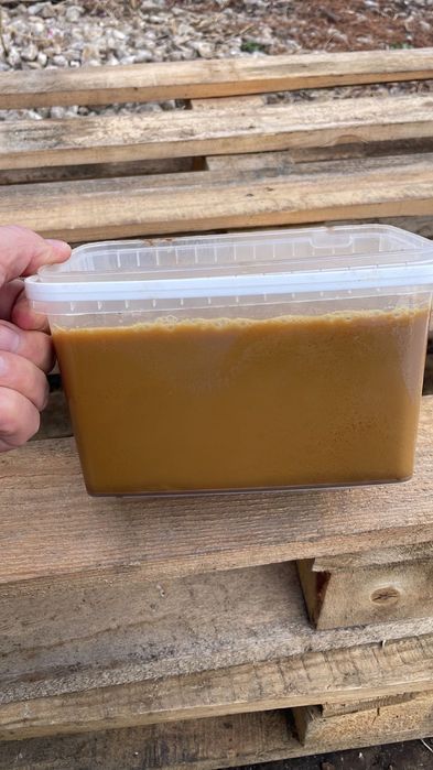 Личебный жир чёрной львинки