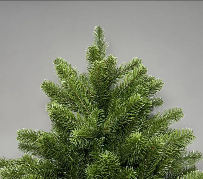 Ель «Эстетика» 155 см