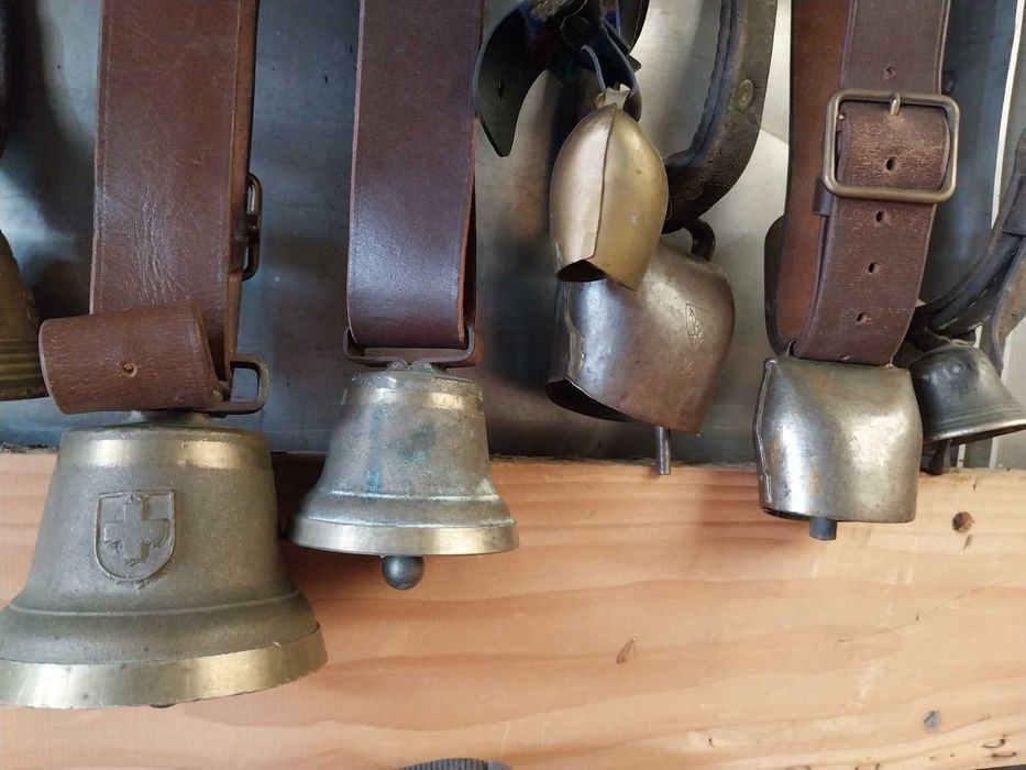 Чанове, хлопоти , звънци...