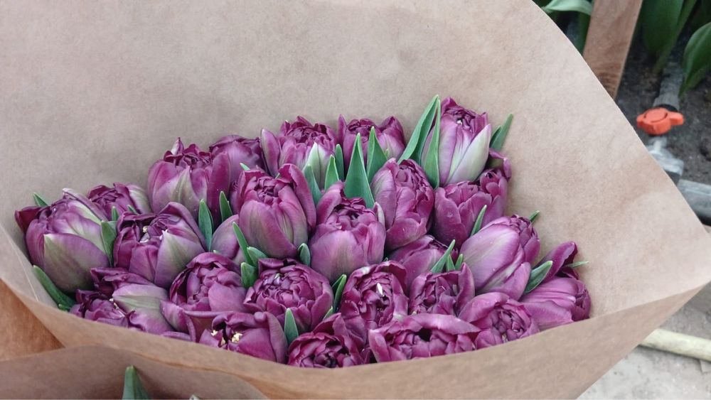 Тюьлпаны для корпаратива