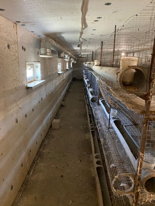 Продам клетки для курей на 2000 голов