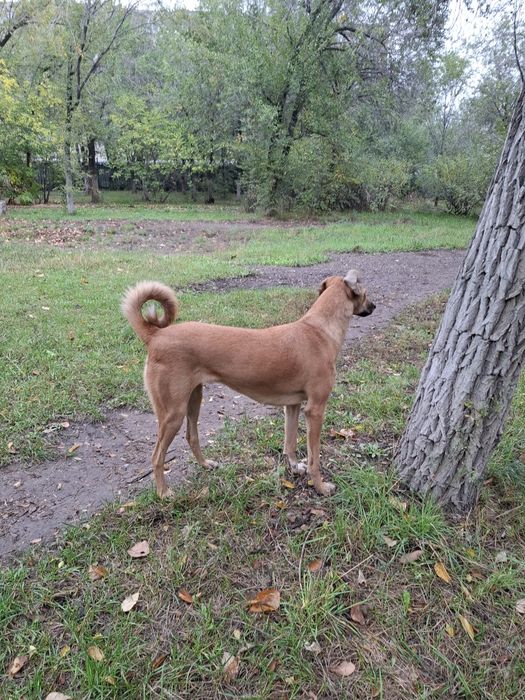 Помощь животным.