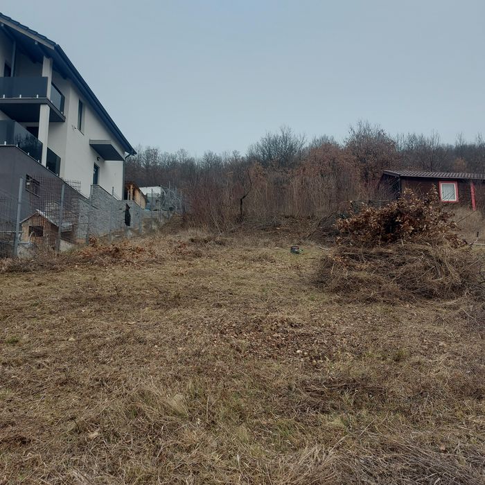 Cosit,defrișări,toaletare copaci la inaltime oferim servicii complete