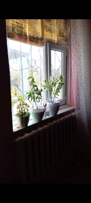 Жаздык уй жалга бериледи