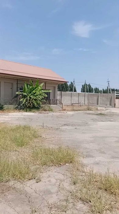 Tovuqxona va ishlab-chiqarish bino-inshootlari