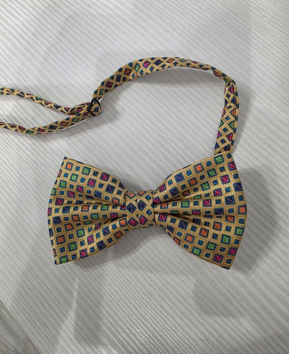 Papion multicolor