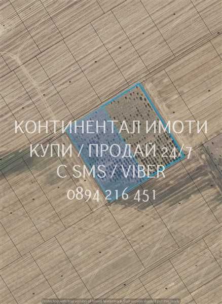 Код 70039. Черешова градина 13дка в с капково напояване лесен достъп