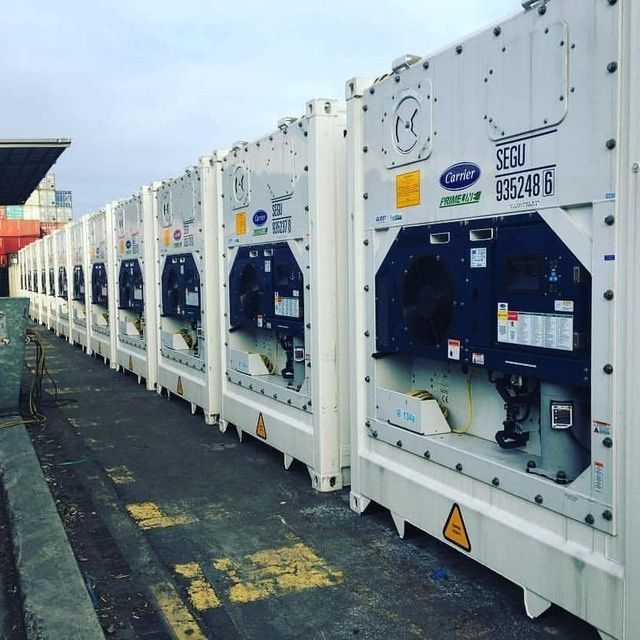 холодильник аренда / holodilnik