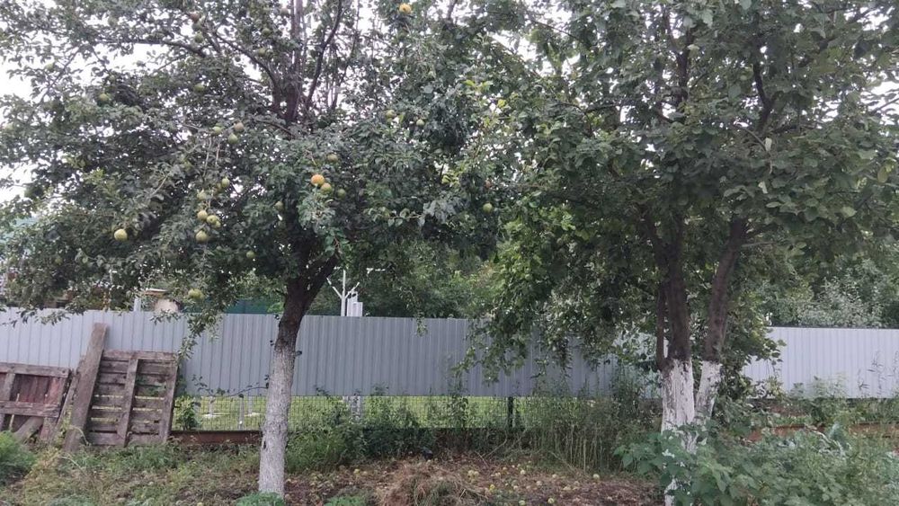 Дача на Телецентре с мансардным домиком.