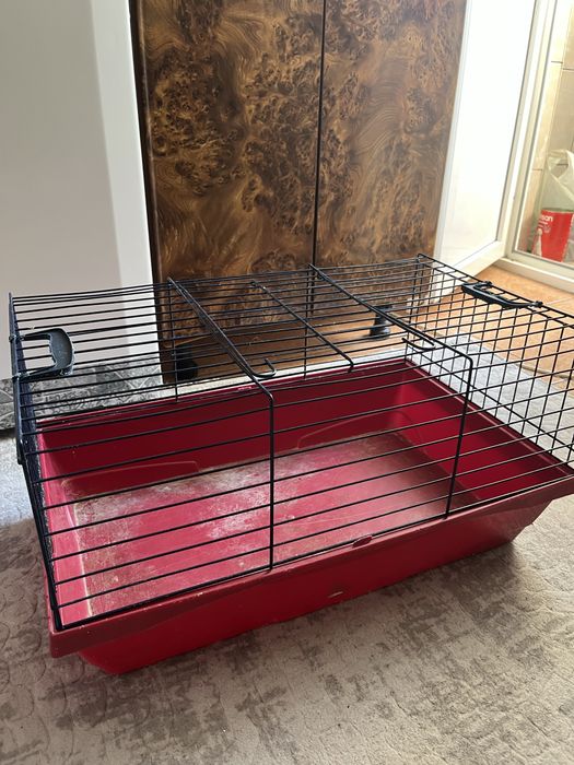 Vand cusca rozatoare (Negociabil)