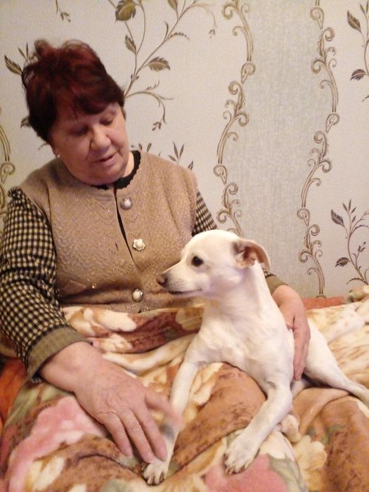Отдам собачку в очень хорошие руки