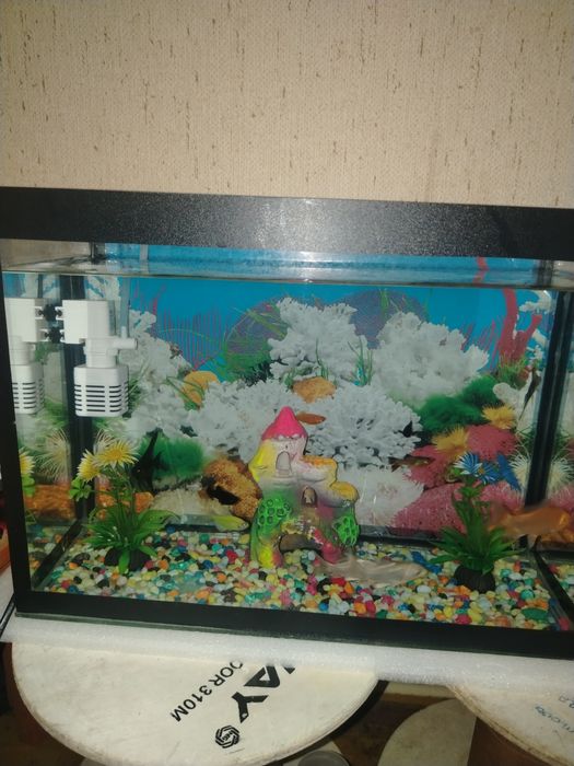 Аквариум сотилади