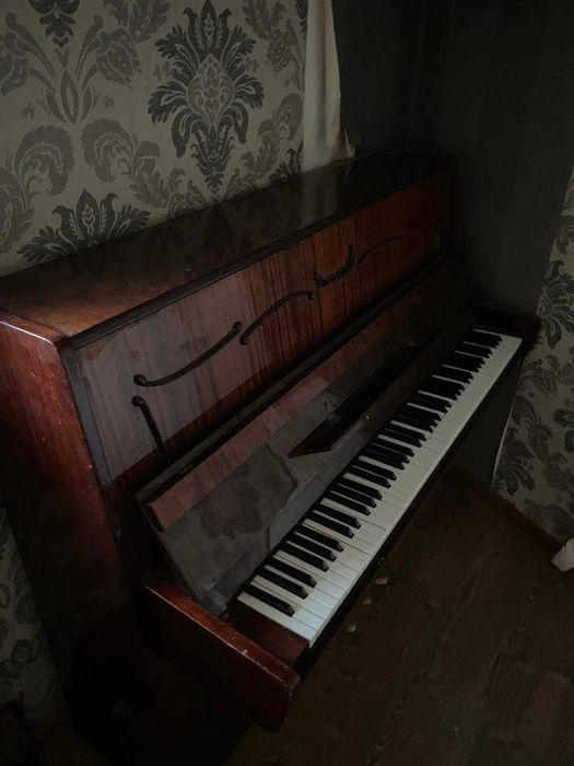 Пионина сотилади