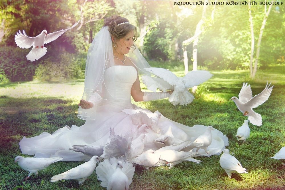 Фото видео услуги - Foto va video hizmatlari