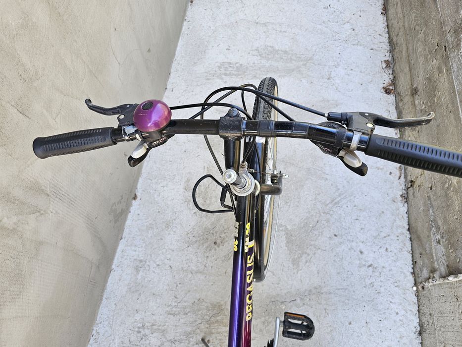Bicicletă Pegasus trekking/city 26"