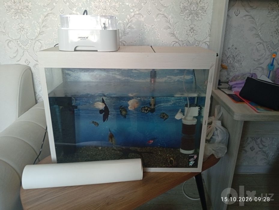 Продается аквариум с рыбками со всеми принадлежностями.