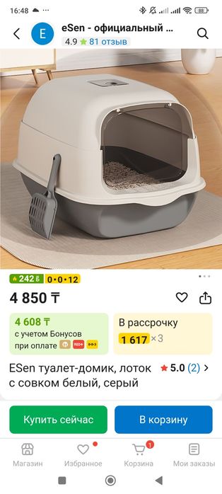 Отдаю кота бесплатно