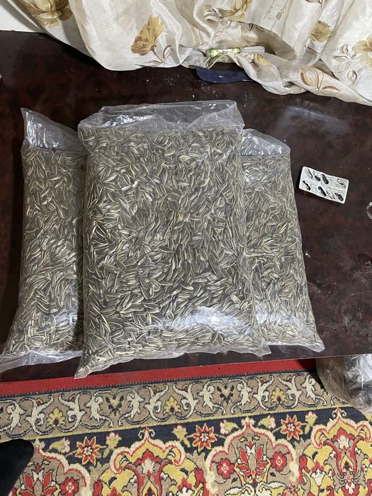 Semichka magizi shirin