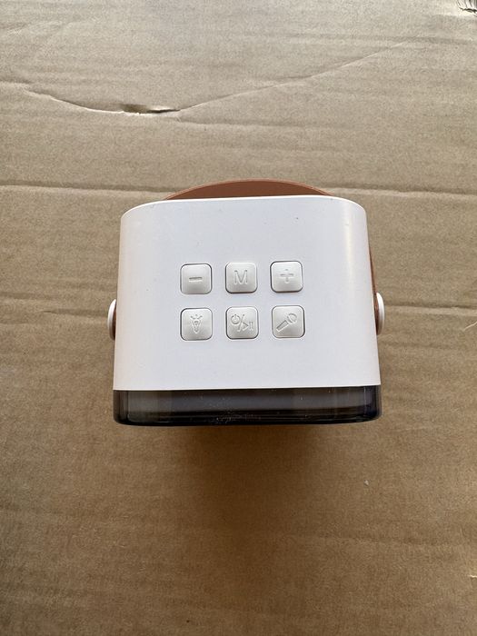 Sistem karaoke portabil cu boxa si 2 microfoane wireless