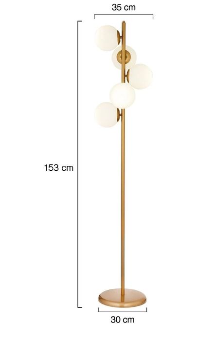 Полилей ламбадер