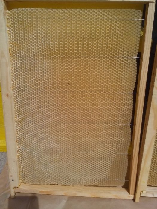 Изградени пчелни пити-празни и пълни с мед.Ценрофуга