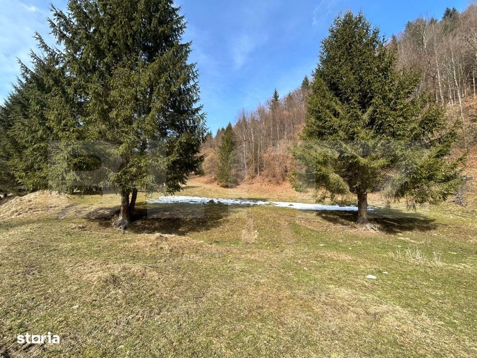 Teren exceptional de vanzare, 5.170 mp - zona Plaiu Foii, Zarnesti