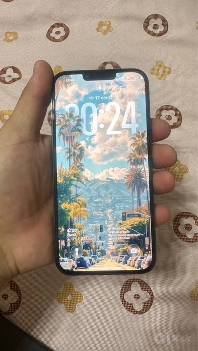 Iphone 13 pro max