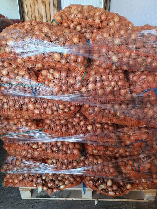 Ceapa marunte stufat