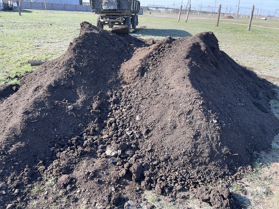 Перегной Көң ㅤㅤㅤㅤㅤㅤㅤㅤㅤㅤㅤㅤ