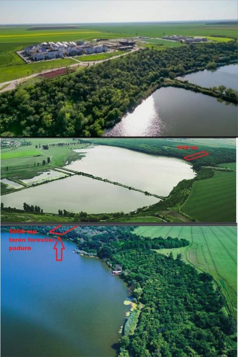 Teren extravilan/Teren forestier Frumusani