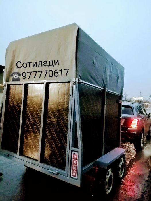 Коневоз сотилади, янги 2025 йил