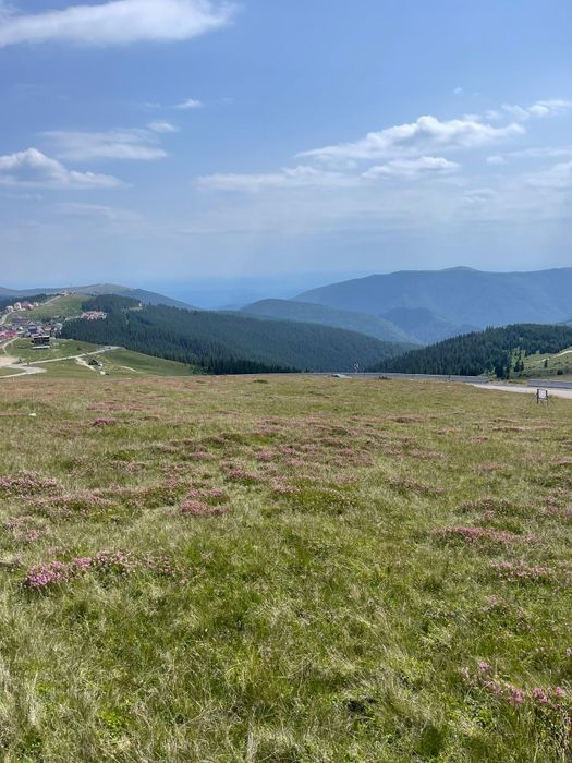 Teren de vânzare Stațiunea Rânca proprietate privata